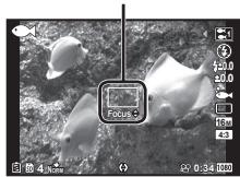 OLYMPUS STYLUS TG-4 - AFL (verrouillage de la mise au point) - 1