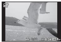 OLYMPUS STYLUS TG-4 - Appuyez sur la touche (video) pour commencer l'enregistrement. - 3