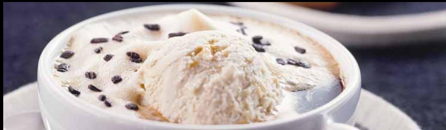 MAGIMIX MAESTRIA M400 11330 - GOURMET RECIPIES/LES RECETTES GOURMET - 1