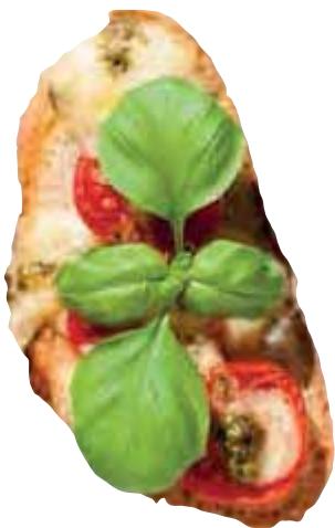 MAGIMIX CS 5200 XL 18591F - Bruschetta tomate mozzarella - 6