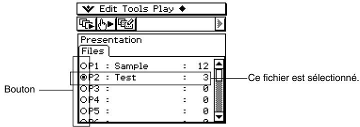 CASIO CLASSPAD 300 - - Insérer une page vierge dans une presentation - 1