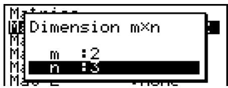CASIO GRAPH 100 USB - - Pour définir les dimensions (taille) d'une matrice - 3