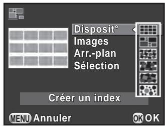 PENTAX K50 - Assemblage de plusieurs images (Index) - 1