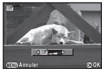 PENTAX K3 - Corriger le moiré - 1