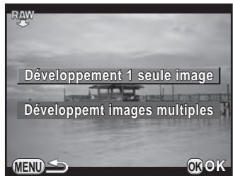 PENTAX K50 - Développement d'une image RAW - 1