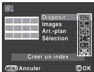 PENTAX K50 - Assemblage de plusieurs images (Index) - 1