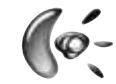 LOGITECH LS11 - 620-000981 - 2