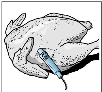 NEFF B58VT68N0 - Introduire le thermomètre à viande dans le mets - 3