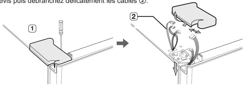 SAMSUNG RSA1UTWP - Démontage de la porte du congélateur - 1