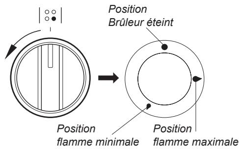 THOMSON TMMP60.3+1W - Manette de commande de brûleur - 1