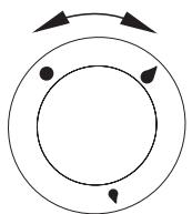 THOMSON TMMP60.3+1W - Choix de la flamme du brûleur - 1