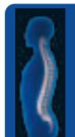 BOSCH ARM 3650 - Taille-haies AHS 70-34. - 1