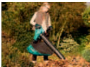 BOSCH ARM 3650 - Aspirateur, souffleur et broyeur ALS 25. - 2