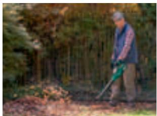 BOSCH ARM 3650 - Souffleurs de feuilles et aspirateurs Bosch - 3