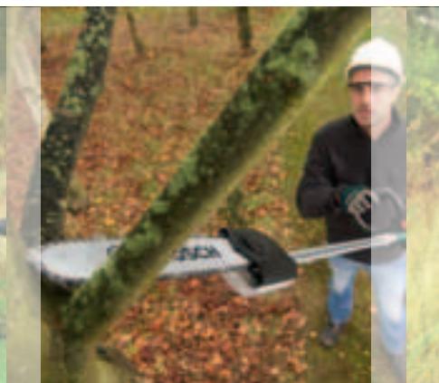 BOSCH ARM 3650 - pour tous vos travaux de coupe. - 2