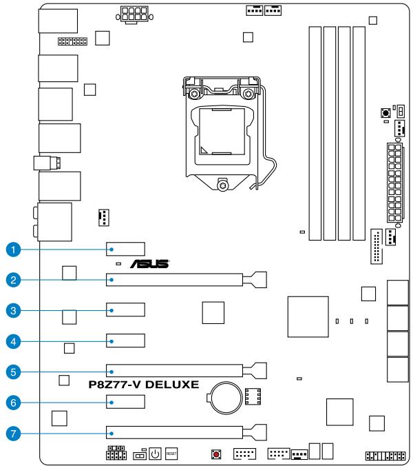 ASUS P8Z77-M - Slots d'extension - 1