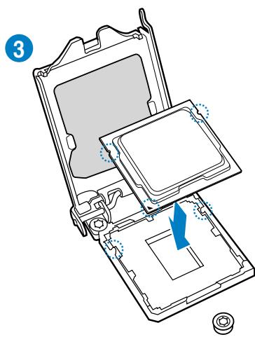 ASUS P8Z77-M - Installation du CPU - 4