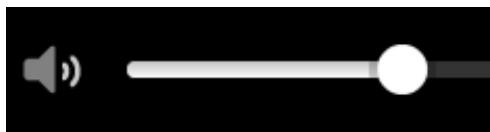 TOMTOM GO 6000 - Réglage du volume - 1