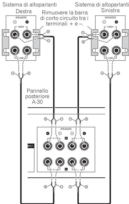 PIONEER A-20 - Informazioni sul "biwiring" - 1