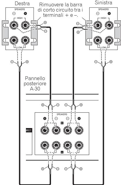 PIONEER A20 - Informazioni sul "biwiring" - 1