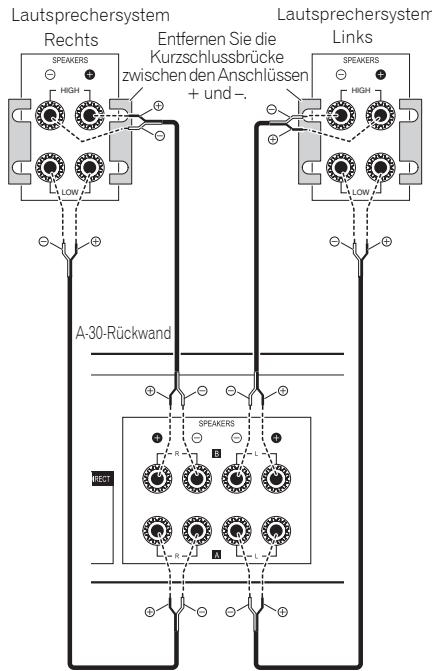 PIONEER A30 - "Bi-wiring" (Doppelverkabelung) - 1