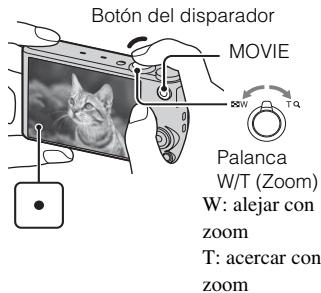 PIONEER VSX-422-K - Toma de imágenes fijas/películas - 2
