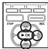 OLYMPUS DM-5 - Visualisation des images - 11