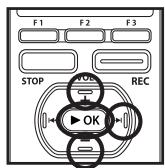 OLYMPUS DM-5 - Effacement d'une image - 9