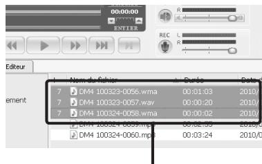 OLYMPUS DM-5 - Macintosh: - 2