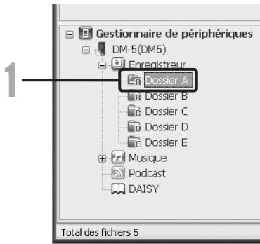 OLYMPUS DM-5 - Macintosh: - 1