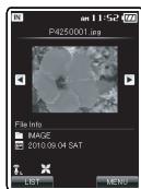 OLYMPUS DM-5 - A propos du dossier pour les images - 5