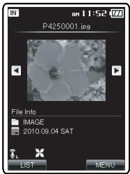 OLYMPUS DM-650 - Visualisation des images - 14