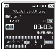 OLYMPUS DM-650 - Pause - 2