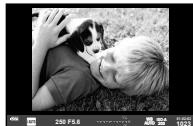 OLYMPUS OMD E-M5 - Viseur (P. 30) - 1