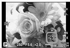 OLYMPUS OMD E-M5 - Modification de la brillance des points culminants et des ombres - 1