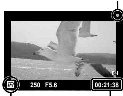 OLYMPUS OMD E-M5 - Enregistrement de videos avec le déclencheur - 1