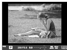 OLYMPUS E-M10 MK II - Viseur - 1