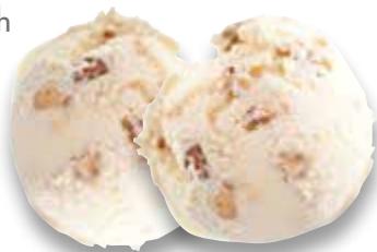 MAGIMIX GLACIER 1.1L 11660 - Rum and Raisin Ice Cream - 1