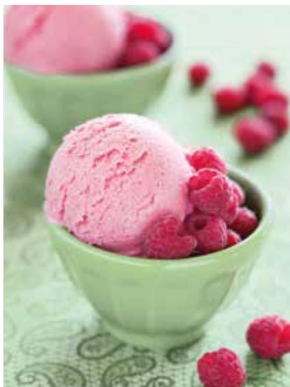 MAGIMIX GLACIER 1.1L 11660 - Erdbeersorbet - 5