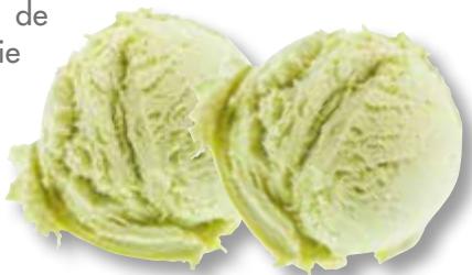 MAGIMIX GLACIER 1.5L BLANC 11667 - Groene appelsorbet - 1
