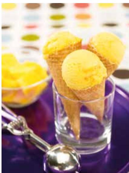 MAGIMIX 11670 - Erdbeersorbet - 4