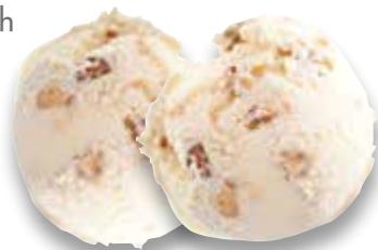 MAGIMIX 11670 - Rum and Raisin Ice Cream - 1