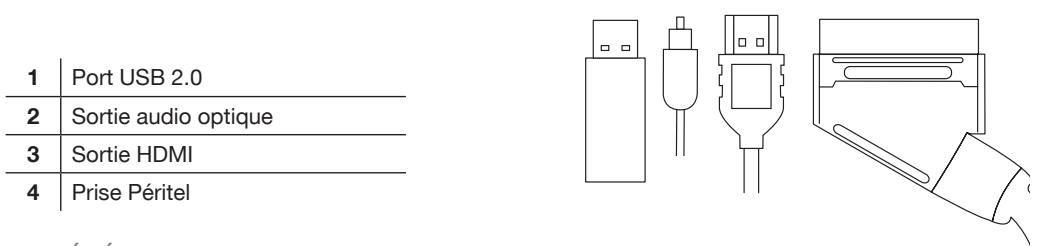 ESSENTIELB MAGICREADY BASE HD TNTSAT - FACE ARRIÈRE - 2