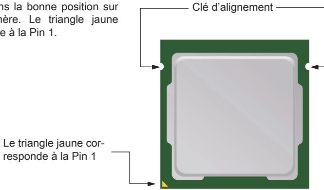 MSI Z77A-G41 - Introduction du LGA 1155 CPU - 1