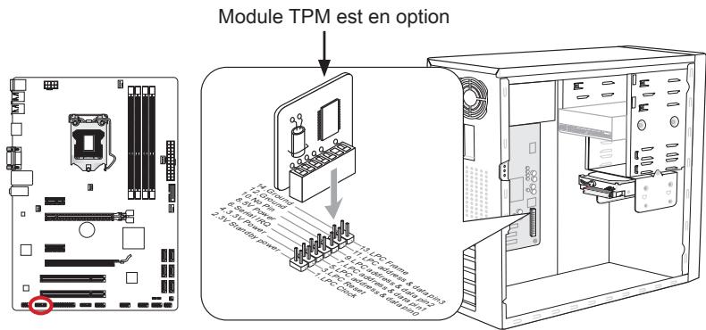 MSI ZH77A-G43 - JTPM1: Connecteur de Module TPM - 1