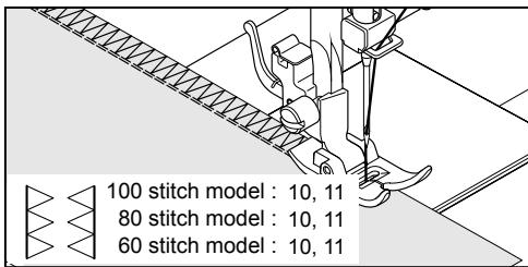 PFAFF ELEMENT 1080S - RIC-RAC STITCH - 1