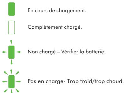 DYSON DC34 CAR BOAT - VOYANTS D'AVERTISSEMENT - CHARGEMENT ET BATTERIE - 1