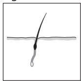 REMINGTON IPL4000 - ESPANOL - 2