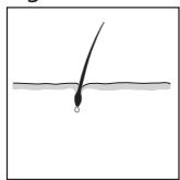 REMINGTON IPL4000 - DEUTSCH - 3