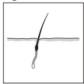 REMINGTON IPL4000 - ENGLISH - 2